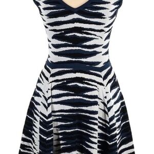 Stylish Zebra Print Dress